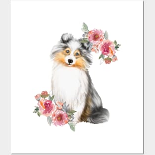Cute Blue Eyed Sheltie Watercolor Art Posters and Art